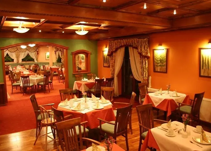 ホテル Alpejski Boutique カルパッチ