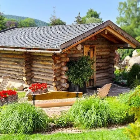 Alpejski Boutique 4*