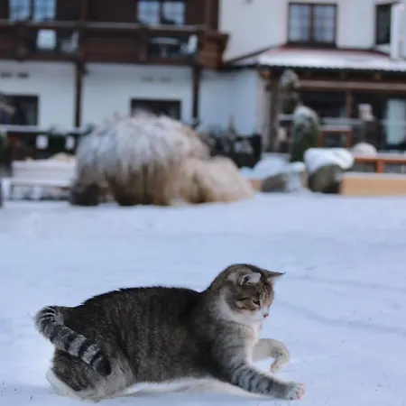 Alpejski Boutique カルパッチ