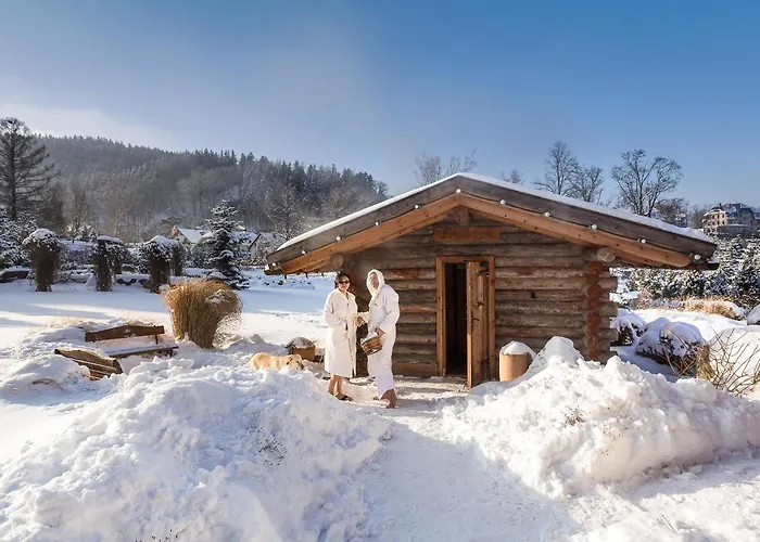 Alpejski Boutique 4*